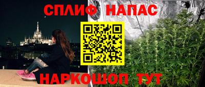 СК Волгодонск