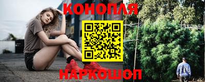 СК Волгодонск