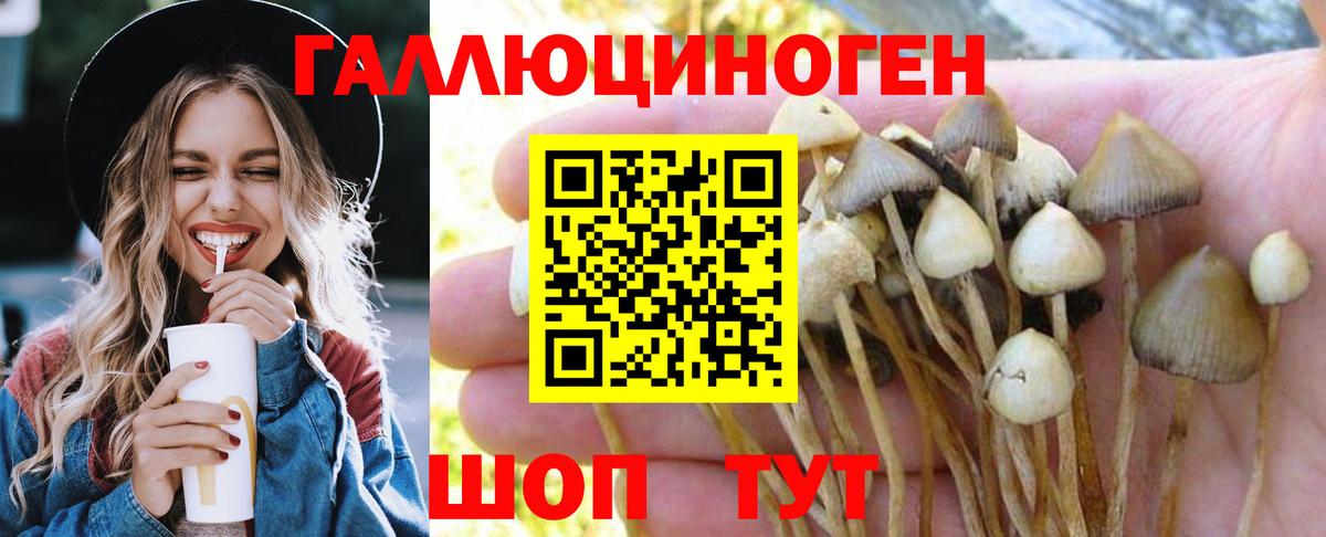 Балаково  Псилоцибиновые грибы ЛСД  Галлюциногенные грибы ЛСД  Вход с VPN 